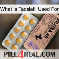 What Is Tadalafil Used For 41